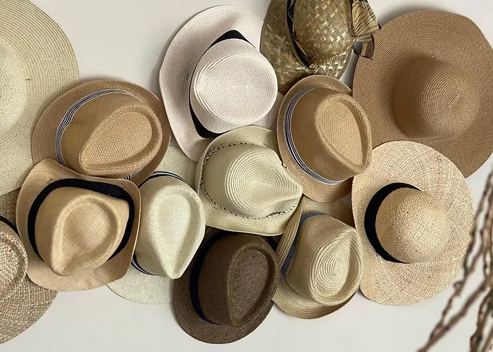 Les Platanes アパート カシ